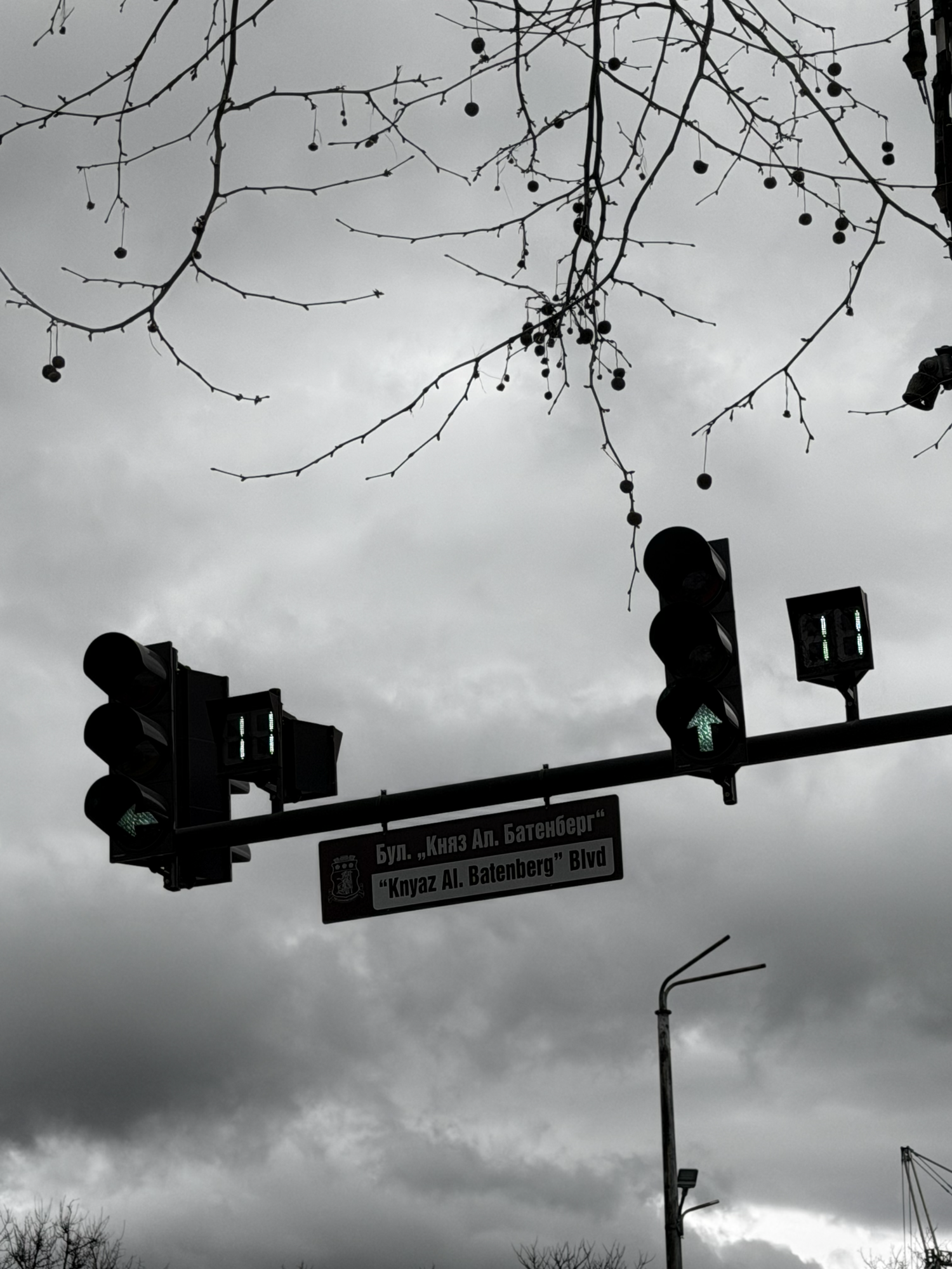 Random frame 3
